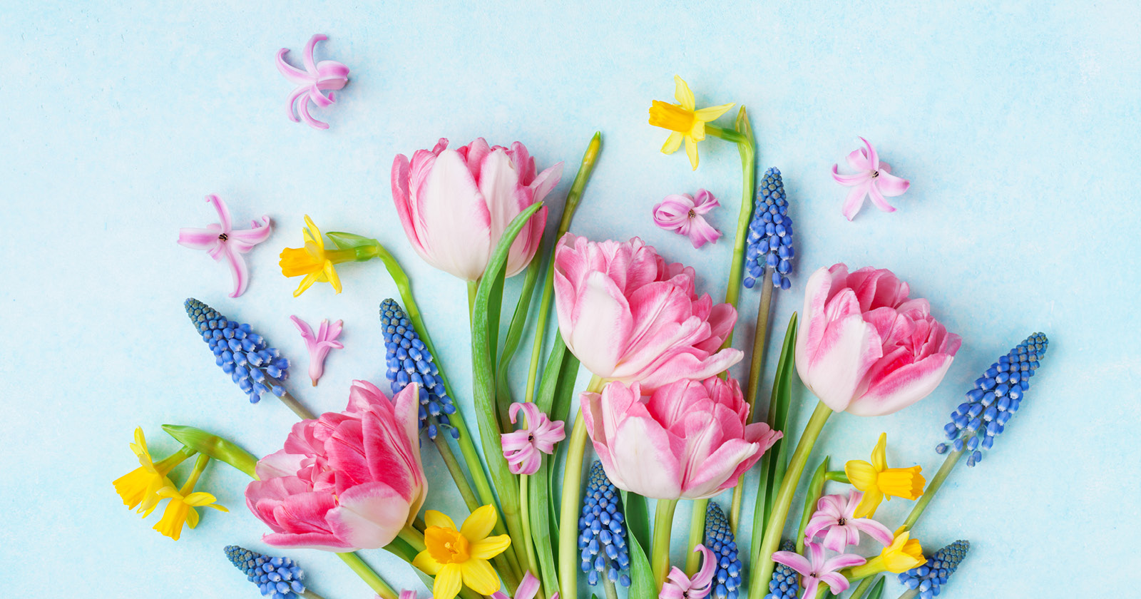 Spring into Sales: Stocking Up Your Produce Department for Easter & Passover